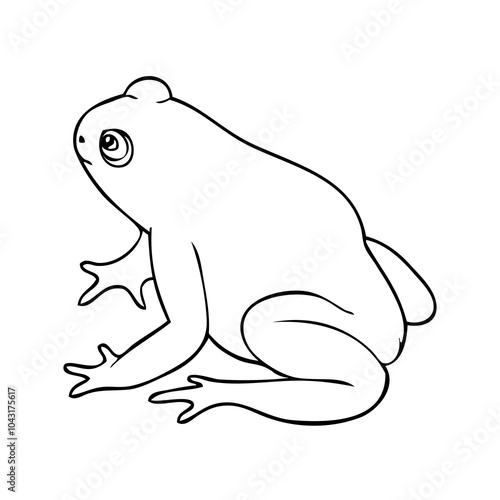 toad outline vector illustration photo