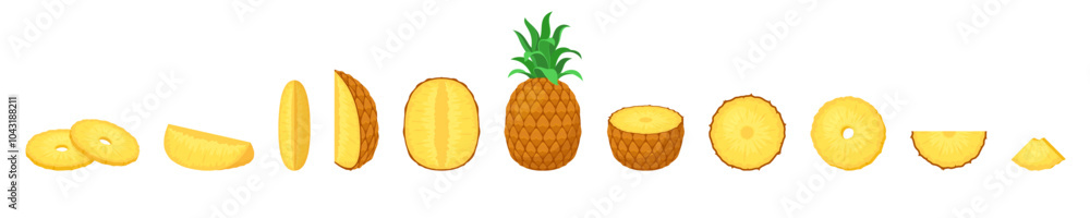 Pineapple fruit vector set. Isolated pineapple sign. Juicy ripe organic fruit illustration. Sliced fruit in half and slice. Pineapple fruit vector set. Isolated pineapple sign. Juicy ripe organic fruit illustration. Sliced fruit in half and slice.
