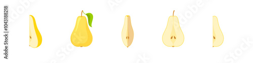 Pear fruit vector set. Isolated pear sign. Juicy ripe organic fruit illustration. Sliced fruit in half and slice.