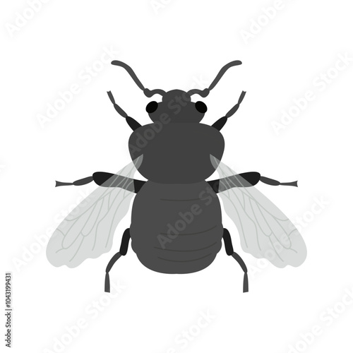 bumble bee illustration