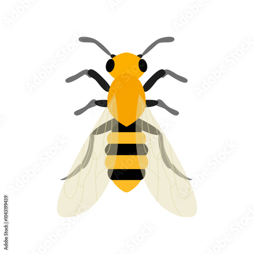 bee illustration