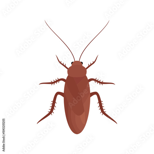 illustration of cockroach isolated