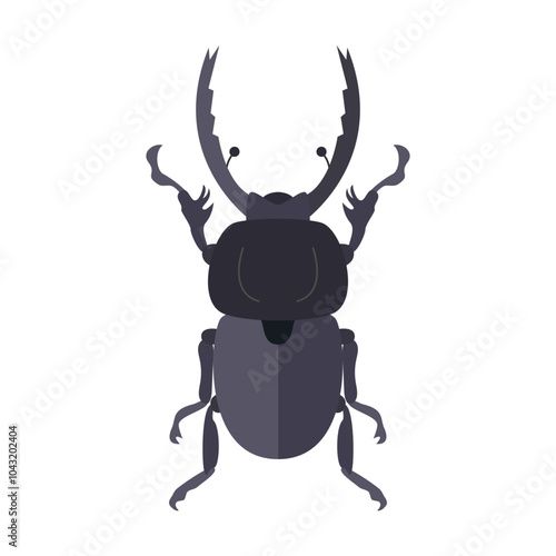 beetle illustration