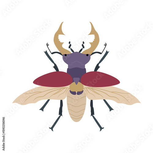 illustration of a beetle