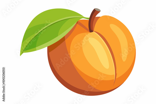 Beautiful fruit apricot vector art illustration 