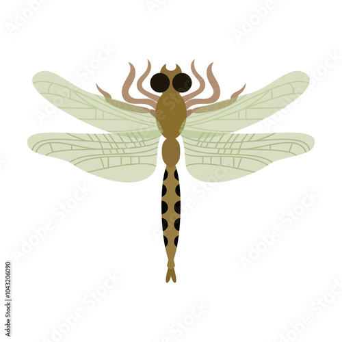 dragonfly illustration