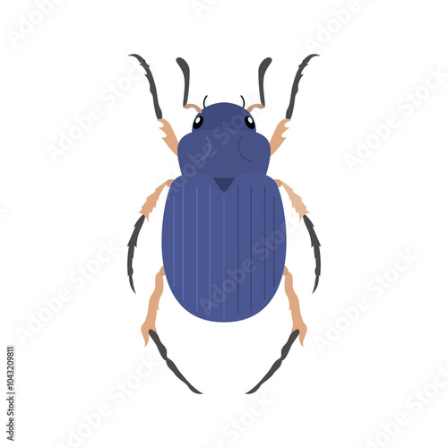 beetle illustration