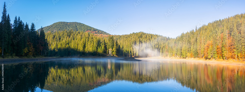 autumn landscape with lake in morning light. fog above water surface. beautiful scenery among coniferous forest in carpathian mountains of ukraine