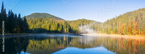 Obraz na płótnie autumn landscape with lake in morning light. fog above water surface. beautiful scenery among coniferous forest in carpathian mountains of ukraine w salonie