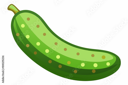 African vegetable cucumber vector art illustration