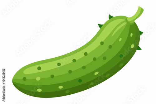 African vegetable cucumber vector art illustration