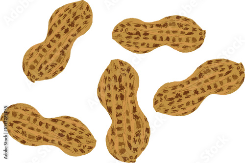 Illustration of Peanuts 