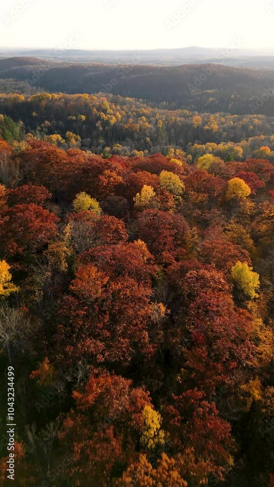 Autumn Redbridge Northern Ontario Autumn Redbridge Northern Ontario