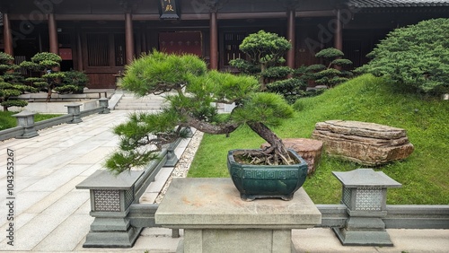 Photography Chi Lin Nunnery, a large Buddhist temple complex located in Diamond Hill, Kowloo