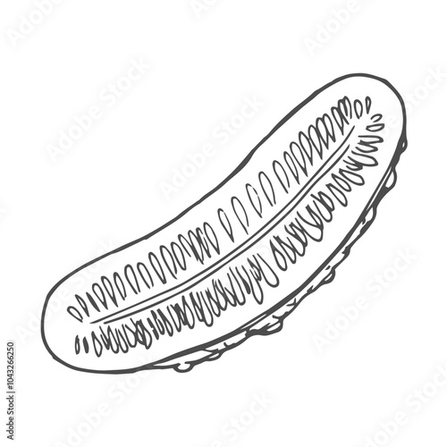 Hand drawn Cucumber Slices Sketch Illustration