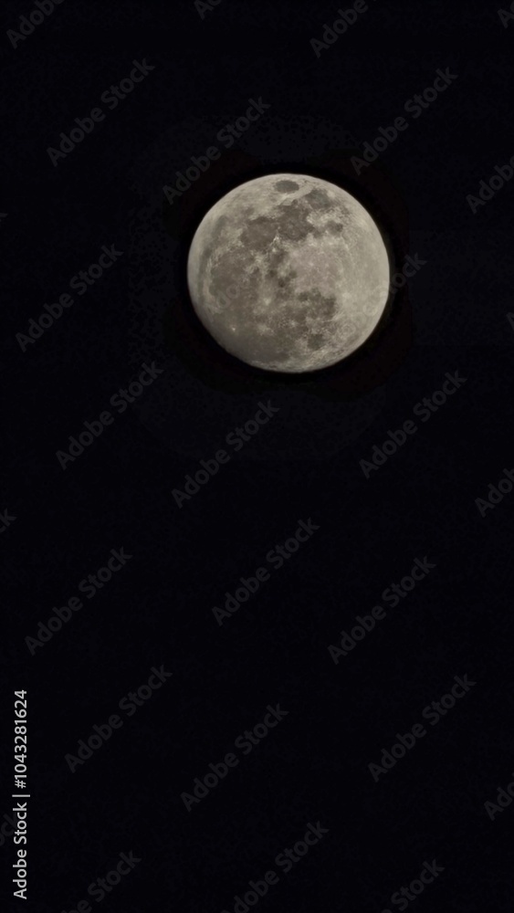 Obraz premium full moon in the night