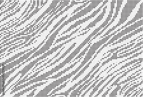 Abstract halftone band white zebra skin pattern. Black strip animal jungle texture zebra dotted background.