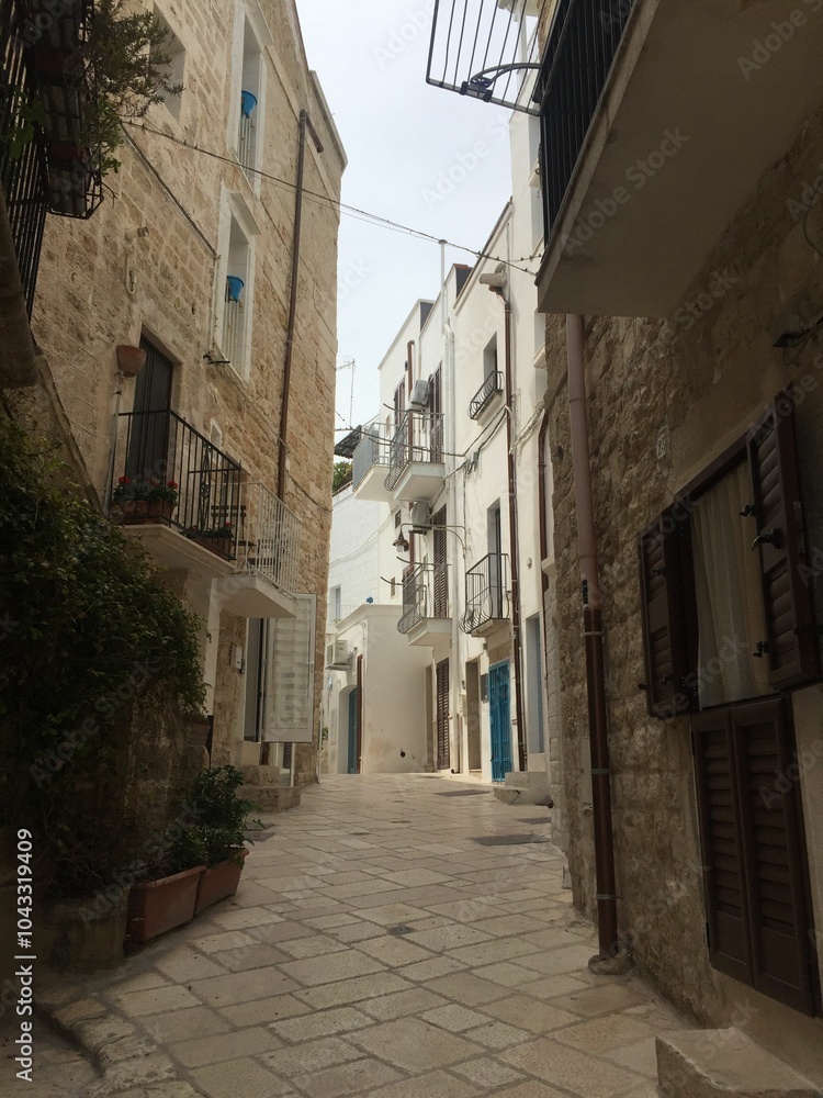 Fototapeta premium Charming narrow street in a historic European town with stone buildings and balconies
