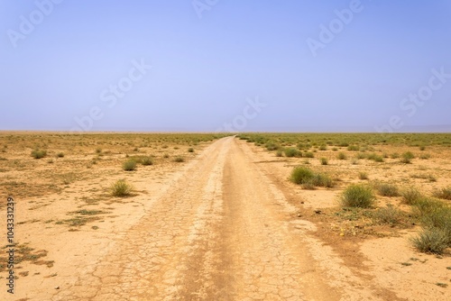The unpaved track in the desert near Riyadh