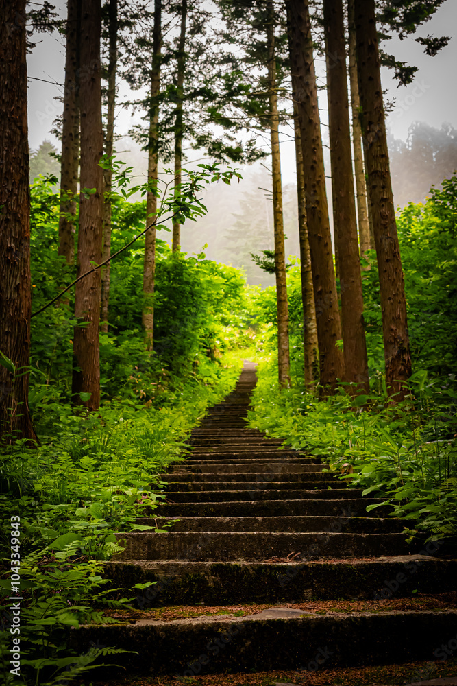 Obraz premium 北海道 トラピスト大修道院の風景