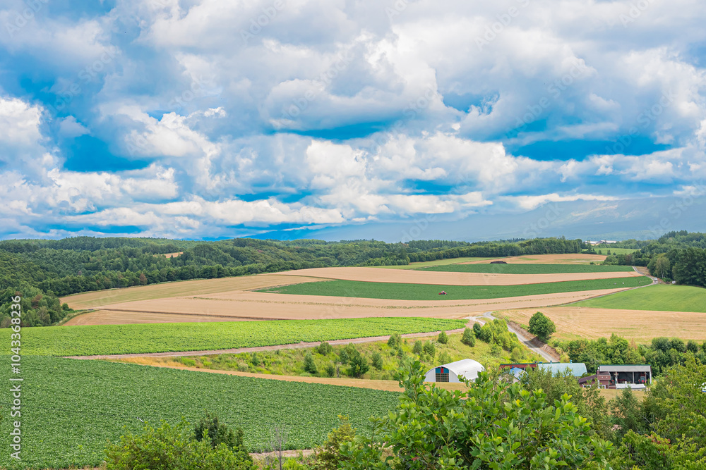Obraz premium 北海道 富良野 日の出公園の風景