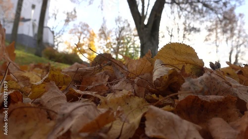 Mariefred, Sweden A pile of autumn leaves blowing in the wind on a sunny autumn day.  photo