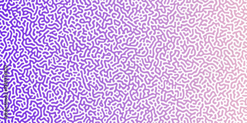 Abstract Reaction-diffusion Turing pattern natural texture purple  gradient color scheme. Linear design with biological algorithm psychedelic background. Reaction-diffusion or truing patter