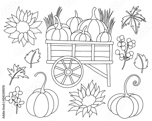 Coloring book. Vector drawing, set cart with pumpkins and sunflower flowers in vintage style. Card for thanksgiving day, rural, harvest holiday. Drawing in doodle style