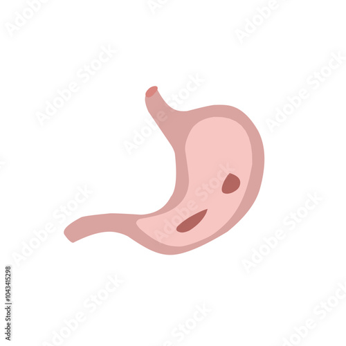 Realistic human internal organs vector