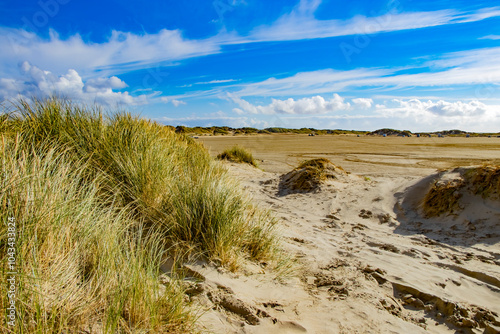 beautiful nature with dunes and white sand on Rømø Island in Denmark photo