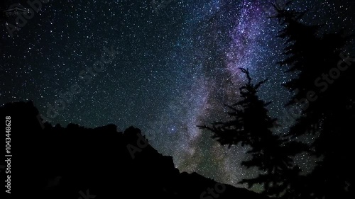  movement of the Milky Way, a view from the crown of a fir tree