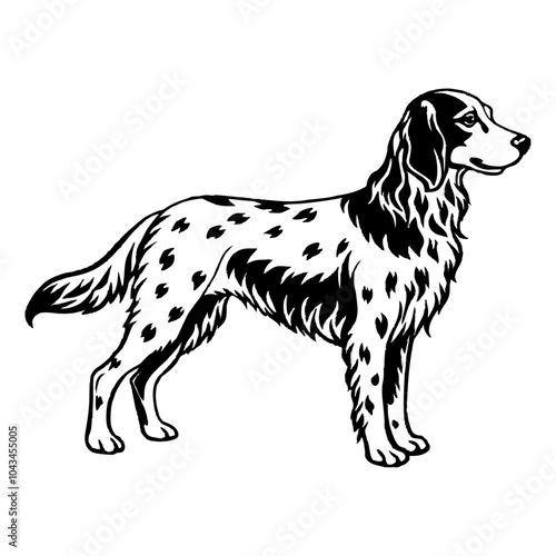 english setter dog full body icon. Black and white logo, dog silhouette, engraving style. Pet character. Vector illustration