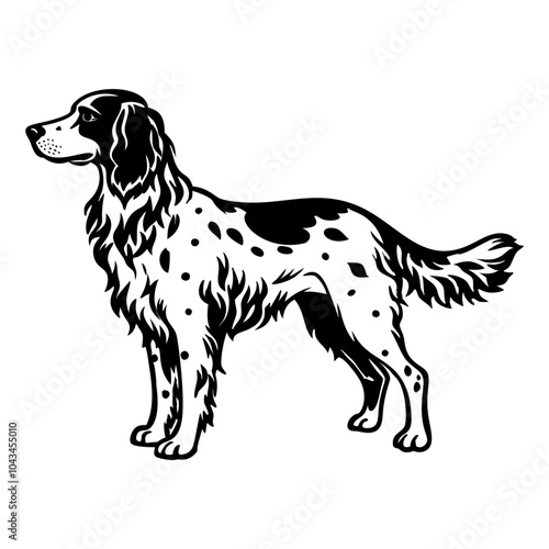 english setter dog full body icon. Black and white logo, dog silhouette, engraving style. Pet character. Vector illustration