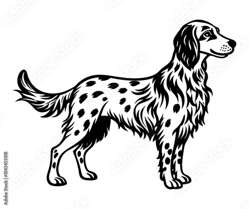 english setter dog full body icon. Black and white logo, dog silhouette, engraving style. Pet character. Vector illustration