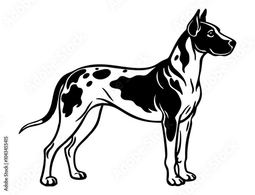great dane dog full body icon. Black and white logo, dog silhouette, engraving style. Pet character. Vector illustration