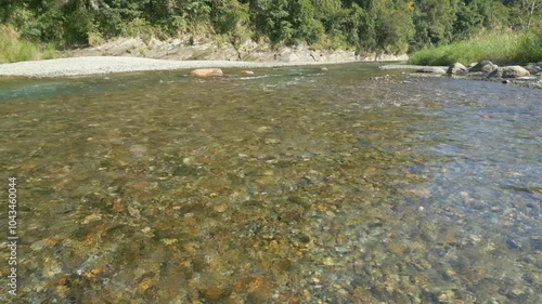 river in the forest