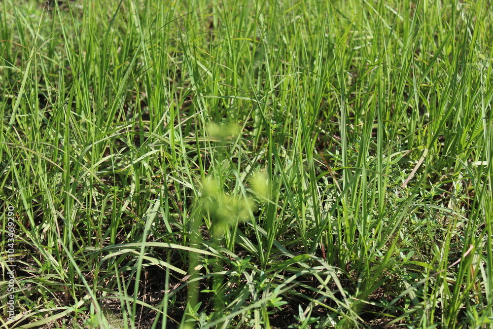 Close-up and nature-based pictures Close-up and nature-based pictures