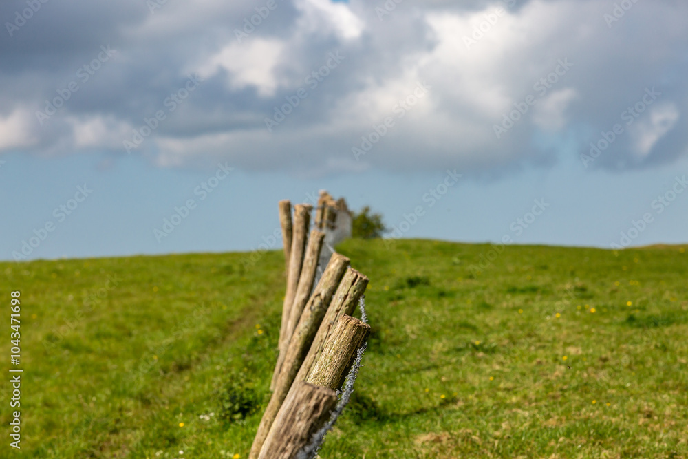 A fence between two fields in rural Sussex, with focus on foreground A fence between two fields in rural Sussex, with focus on foreground