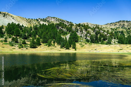 Εκτύπωση καμβά Beautiful summer view on Lac Noir in le Lauzet-Ubaye, Alpes-de-Haute-Provence