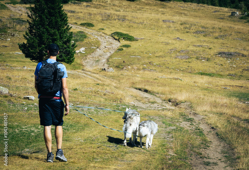 Male hiker with siberian husky dogs in Col du Lauzet of Saint-Crepin. Hautes-Alpes, Alps, France