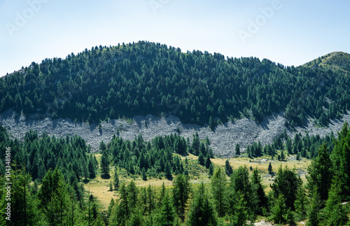 Wild mountains with forests and green in le Lauzet-Ubaye, Alpes-de-Haute-Provence
