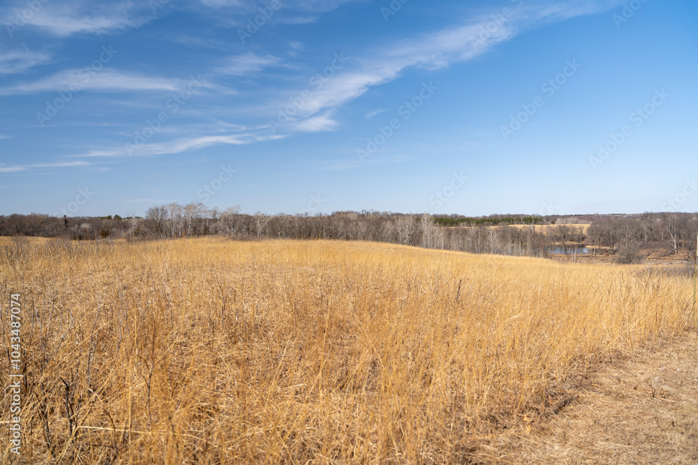Views of dried prairie and trees during a sunny spring day at a MN state park. Views of dried prairie and trees during a sunny spring day at a MN state park.