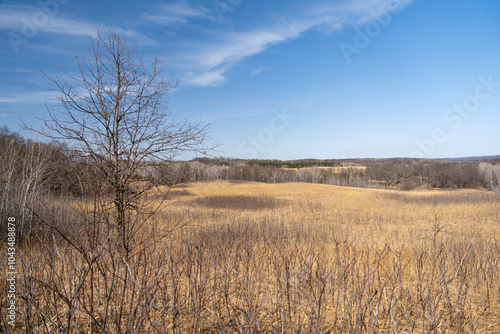 Views of dried prairie and trees during a sunny spring day at a MN state park. photo