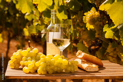 Glass of White wine ripe grapes and bread on table in vineyard