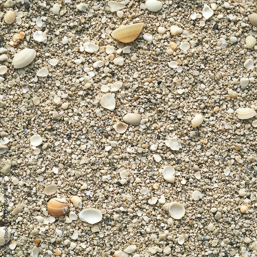 Close-up of sandy beach with mixed shells and small pebbles, showcasing natural texture. photo