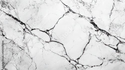 Calacatta White Marble Wallpaper Background