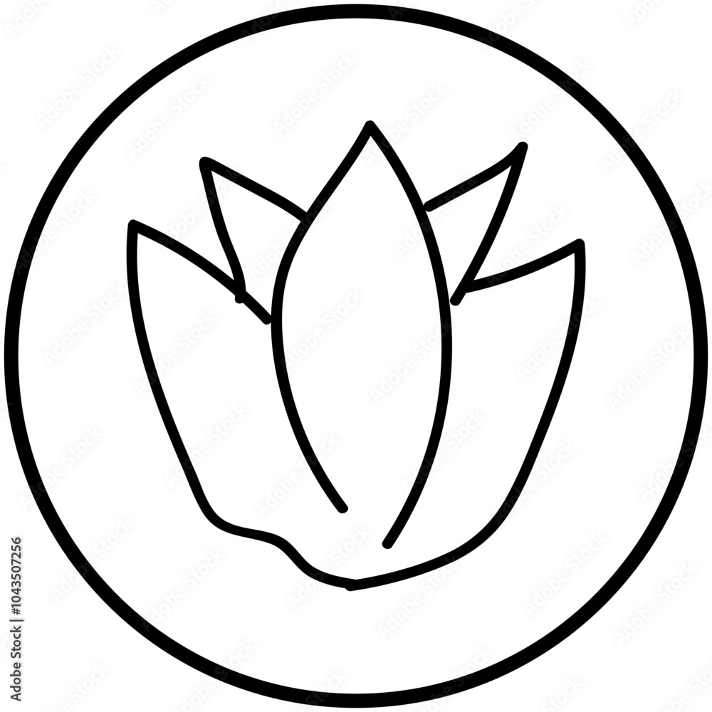 flower flower