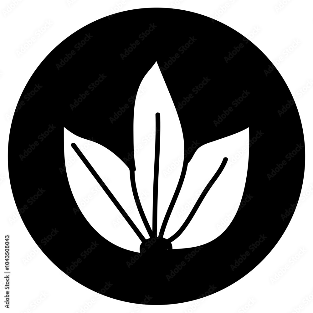 flower flower