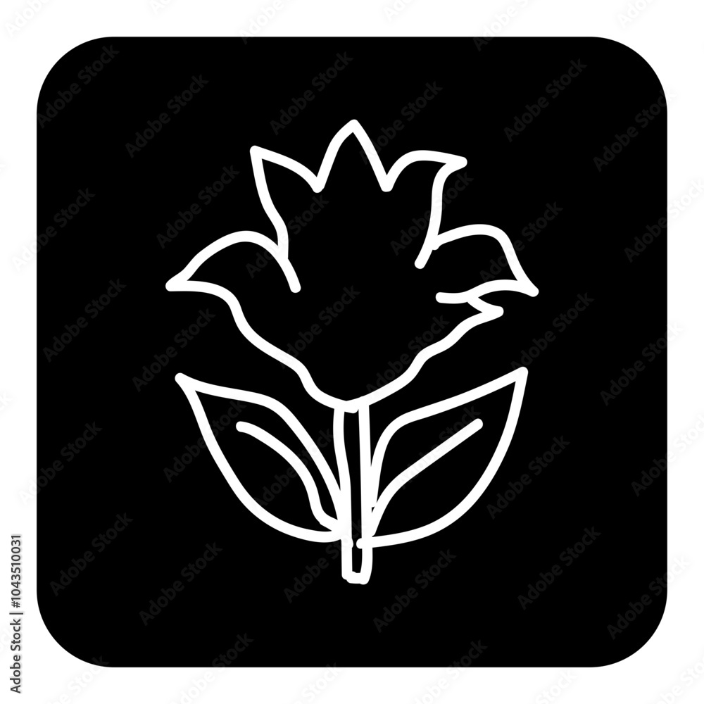 flower flower