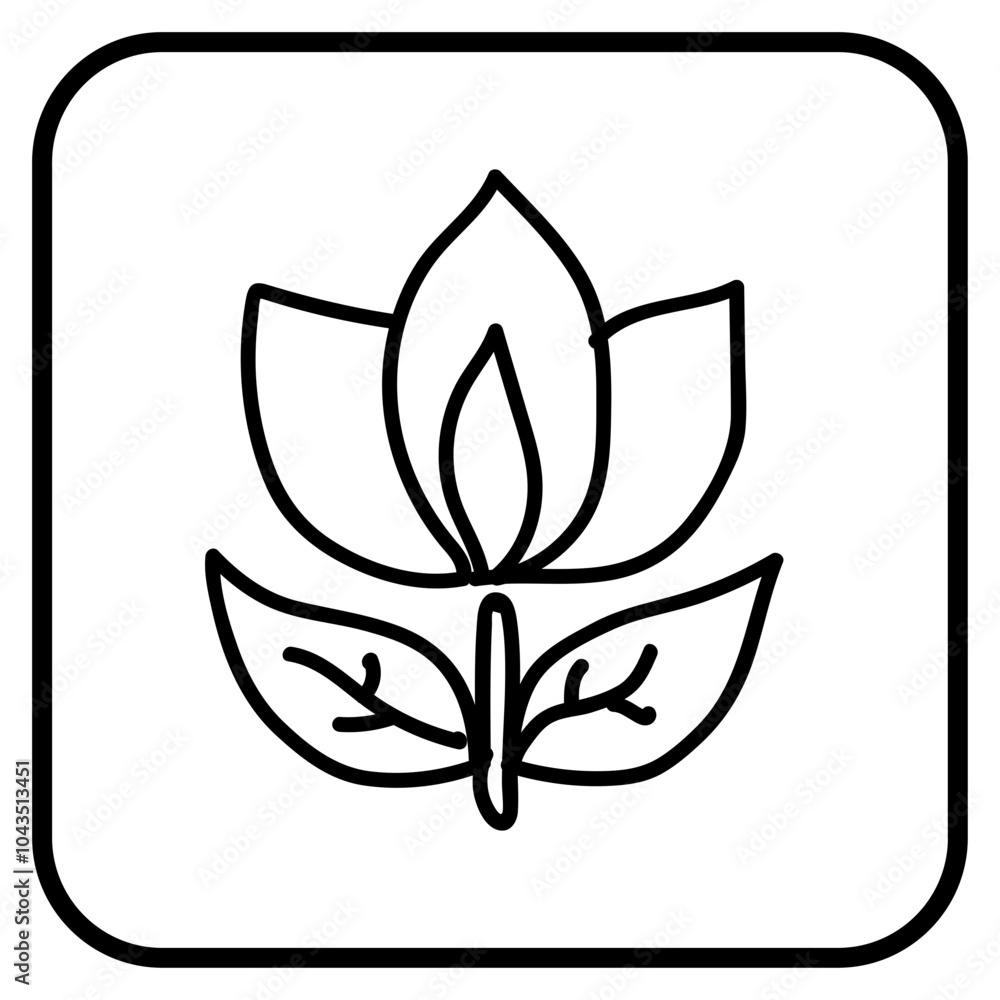 flower flower
